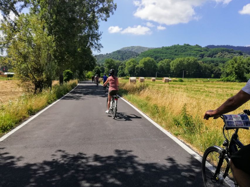 Lucca: Bicycle Rental With Picnic Lunch at a Vineyard - Detailed Itinerary