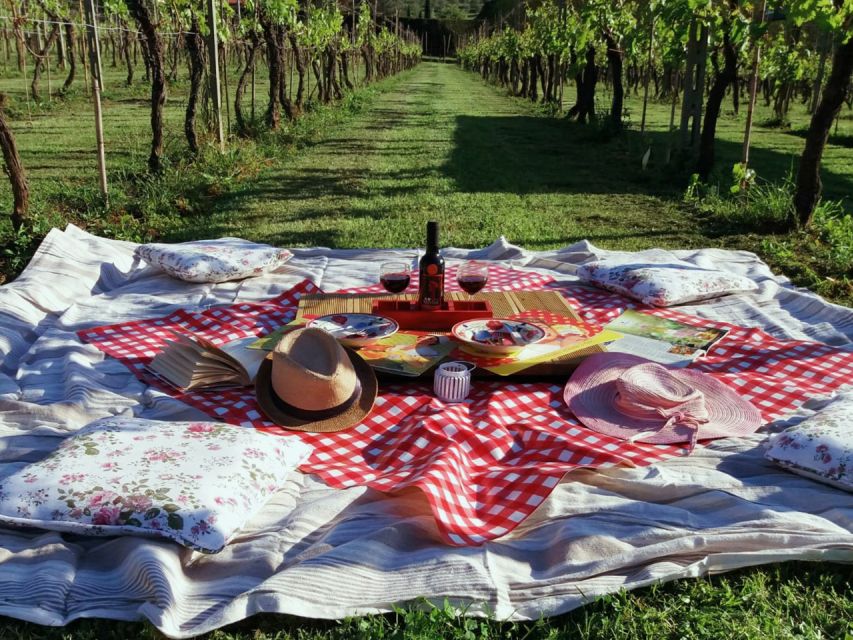 Lucca: Bicycle Rental With Picnic Lunch at a Vineyard - Inclusions and Amenities