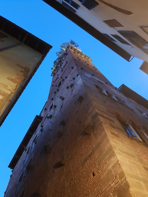 Lucca by Night: A Magical Experience (English) - Itinerary and Highlights