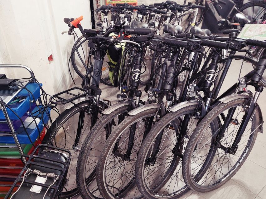 Lucca: E-Bike Rental - Key Points