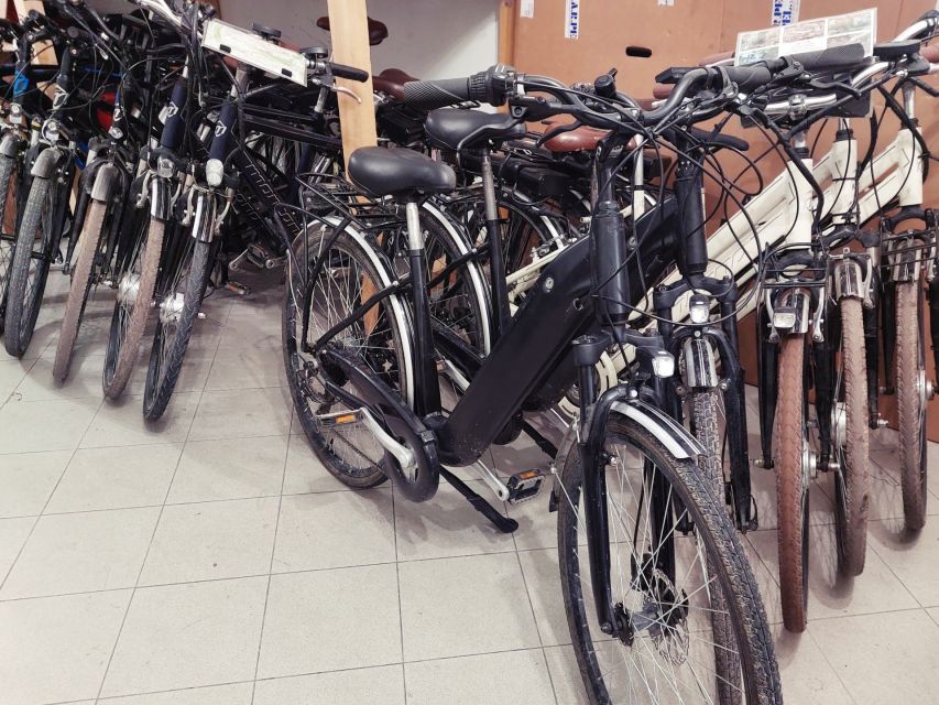Lucca: E-Bike Rental - Experience and Highlights