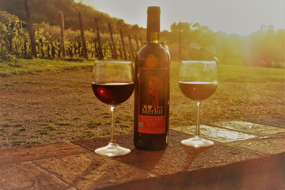 Lucca: Guided E-Bike and Wine Tour - Itinerary Overview