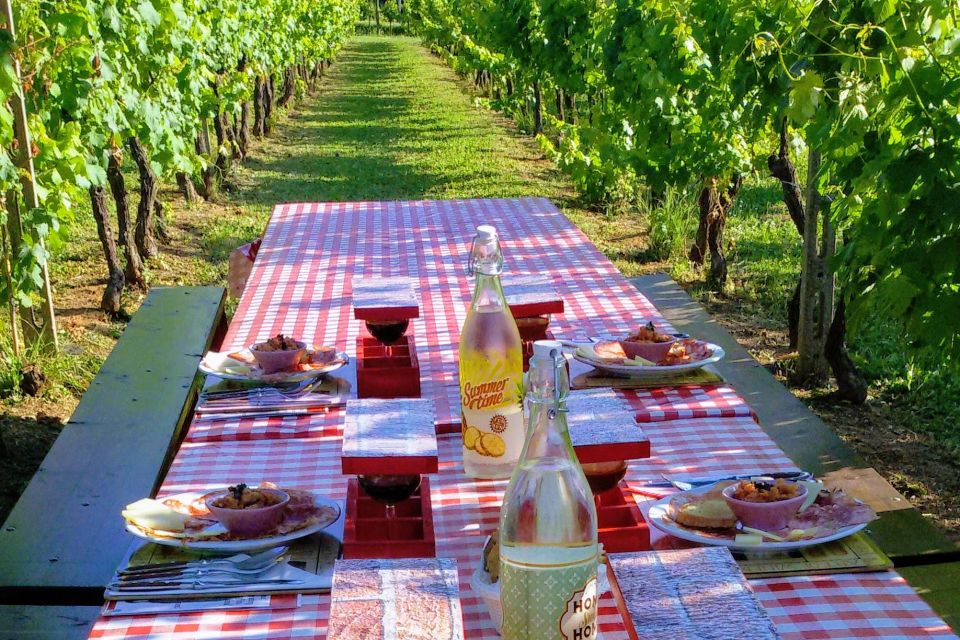 Lucca: Guided E-Bike and Wine Tour - Frequently Asked Questions