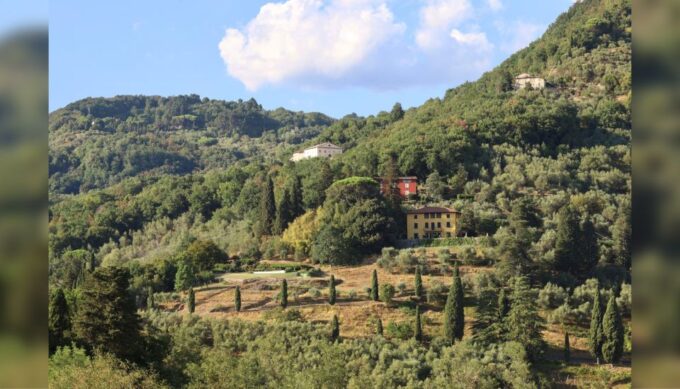 Lucca: Guided Winery Tour With Wine Tasting - Tips for a Great Visit