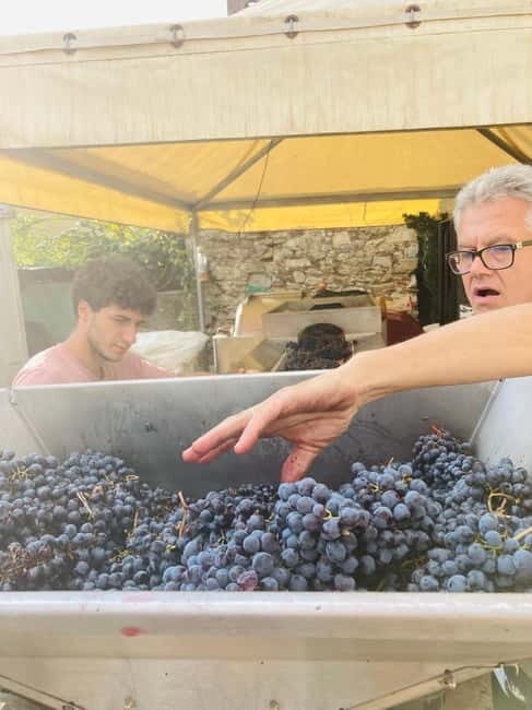 Lucca - Natural wine tasting at Tenuta Mareli - Who Will Love This Experience?