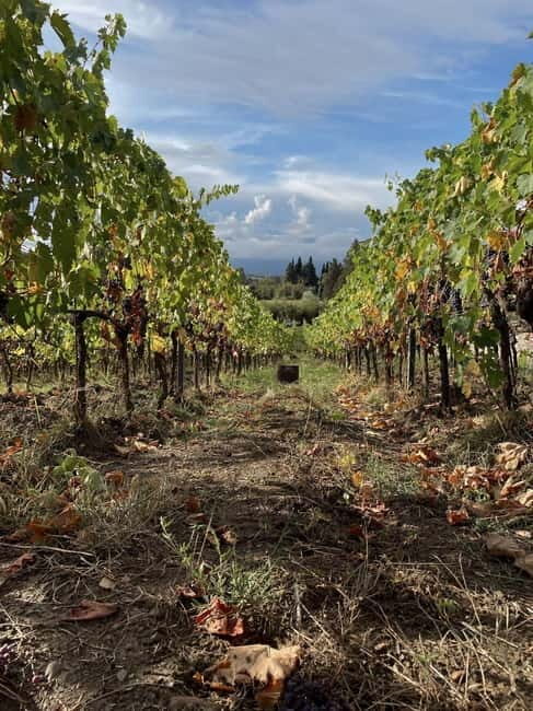 Lucca - Natural wine tasting at Tenuta Mareli - FAQ