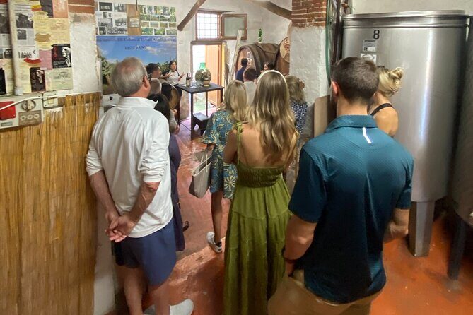 Lucca tour and Pisa Tower + WineTasting by van from Livorno Port - Practical Tips