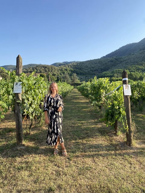 Lucca tour & Pisa tower + Wine Tasting by van from La Spezia - Authenticity and Value