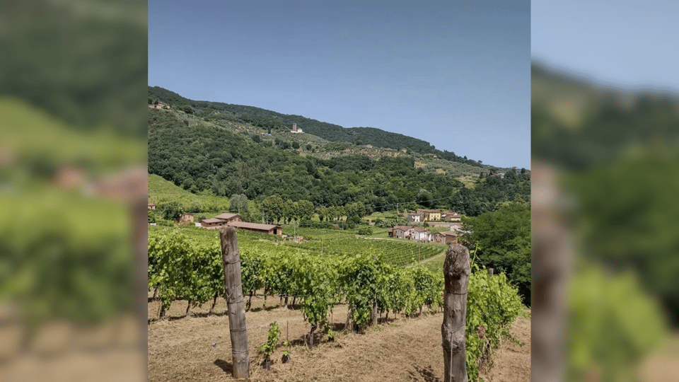 Lucca: Vineyard Paint & Sip at Tenuta Adamo Winery - Additional Details