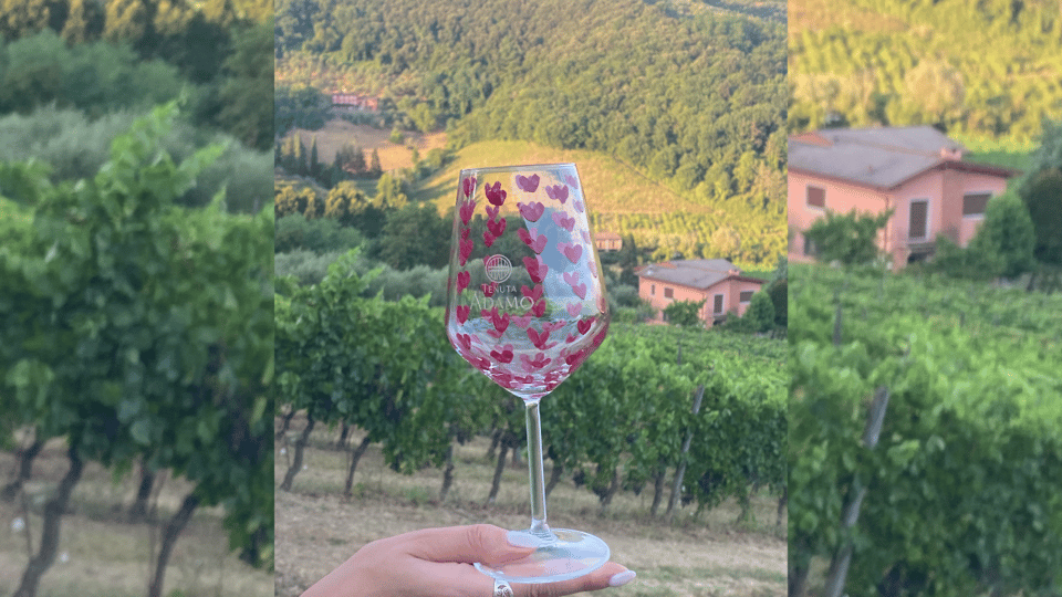 Lucca: Vineyard Paint & Sip at Tenuta Adamo Winery - Ask Away