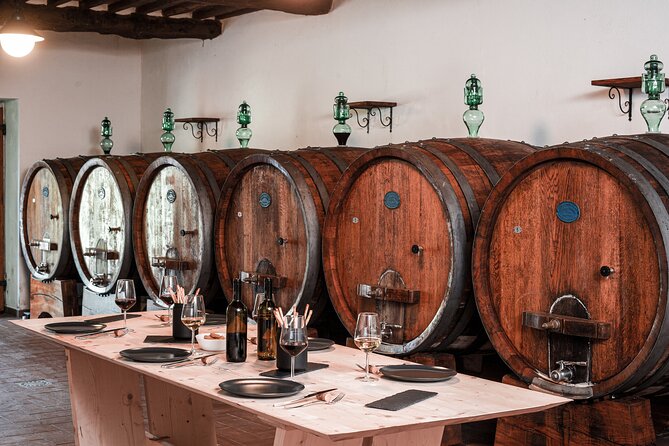 Lucca: Wine Tasting Experience - Tenuta Adamo Winery - Guided Tour Through Vineyards and Cellar