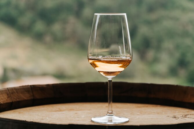 Lucca: Wine Tasting Experience - Tenuta Adamo Winery - Private Tasting on Panoramic Terrace