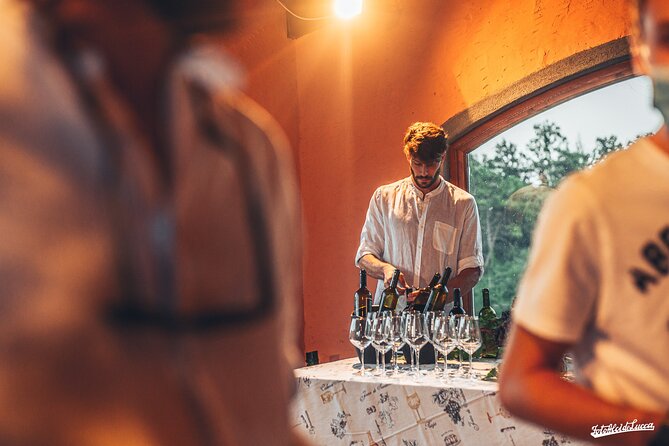 Lucca: Wine Tasting Experience - Tenuta Adamo Winery - Location and Directions to Winery