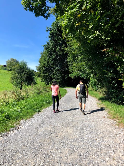 Lucerne: Farm Tour and Cheese Tasting - Tour Overview