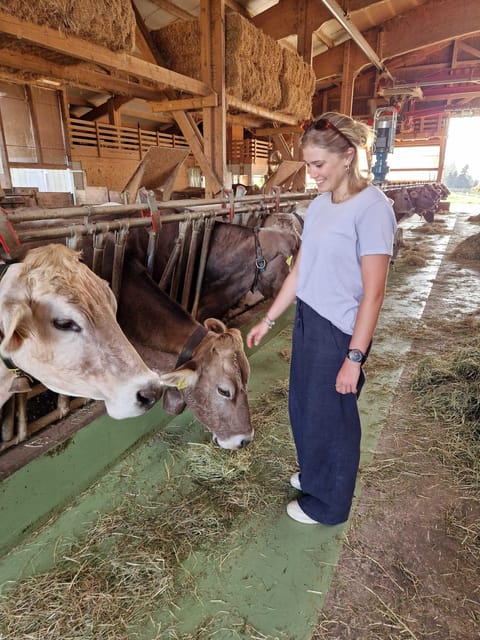 Lucerne: Farm Tour and Cheese Tasting - Ask Away