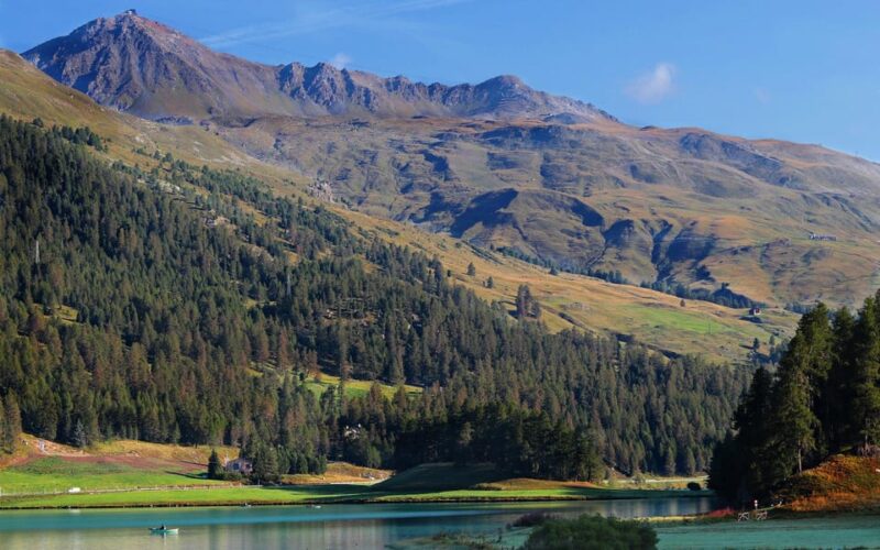 Lucerne: Private Day Trip to St. Moritz - Itinerary Highlights