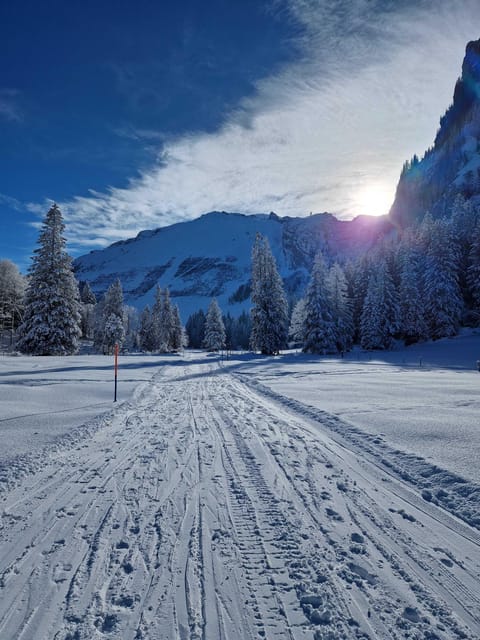 Lucerne: Private Snowshoe Tour - Key Points