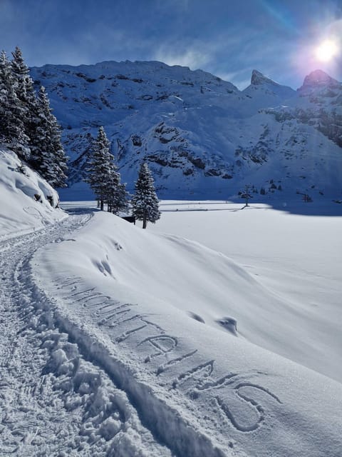 Lucerne: Private Snowshoe Tour - Itinerary Details