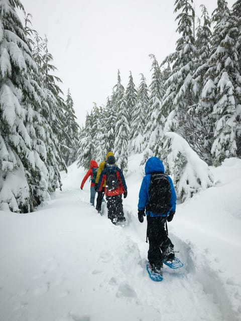 Lucerne: Snowshoe Hiking Adventure to Glaubenberg Langis - Highlights of the Swiss Alps Landscape
