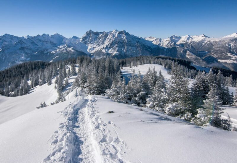 Lucerne: Snowshoe Hiking Adventure to Glaubenberg Langis - Exploring the Glaubenberg Langis Region