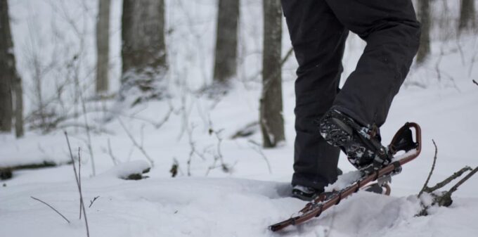 Lucerne: Snowshoe Hiking Adventure to Glaubenberg Langis - Important Considerations and Recommendations