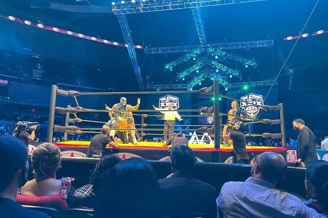 Lucha Libre and Mariachi - Final Thoughts
