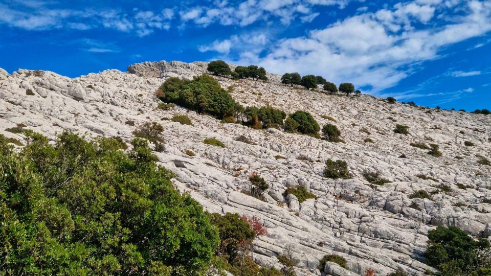 Lula: Montalbo Hiking - Trail Conditions and Safety