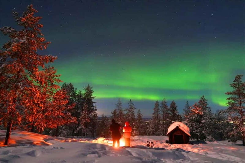 Luleå: Northern Lights Snowshoeing Tour - Why Choose This Tour?