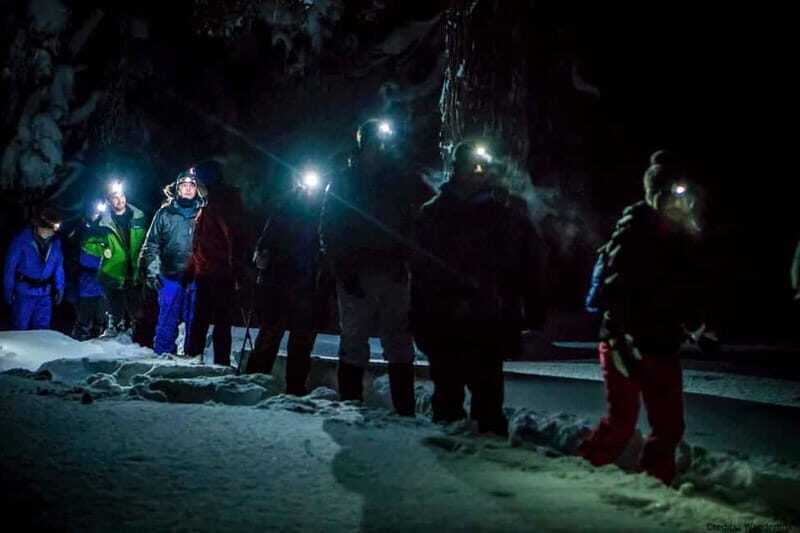 Luleå: Northern Lights Snowshoeing Tour - Practical Tips for Booking and Preparing