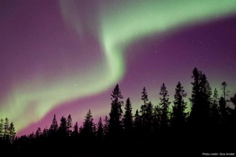 Luleå: Northern Lights Tour by Car with Guide - What to Expect from the Luleå Northern Lights Tour