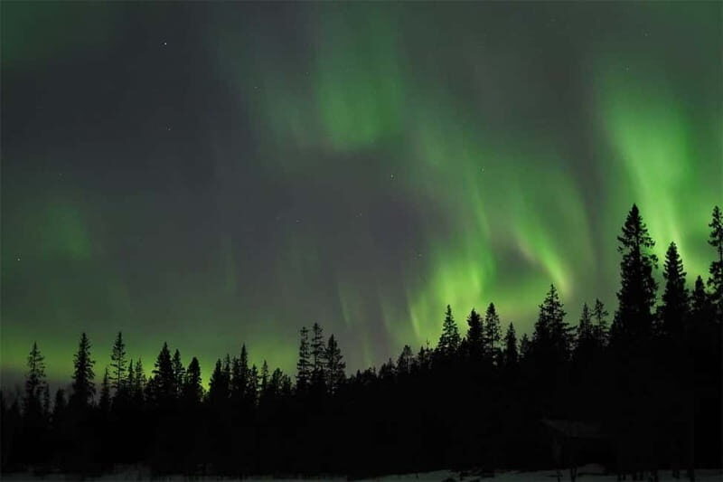 Luleå: Northern Lights Tour by Car with Guide - Why This Tour Suits Certain Travelers