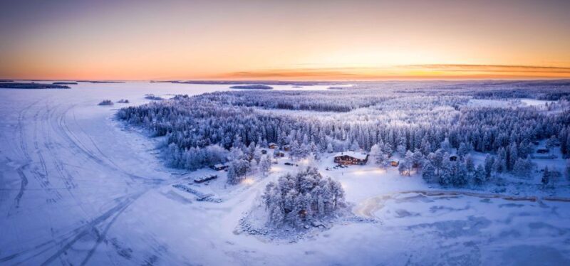 Luleå : Snowmobile - Forest and Ice Nature Tour 2h - Experience and Highlights