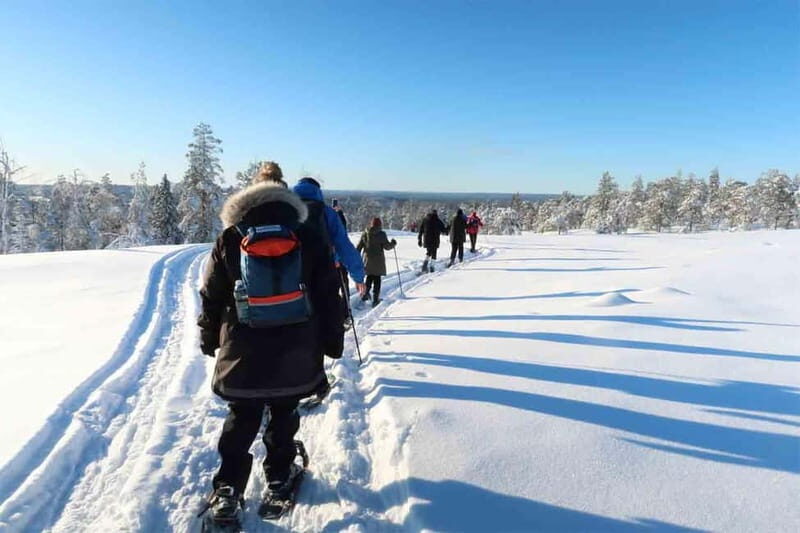 Luleå: snowshoeing in pristine nature with an expert guide! - An In-Depth Look at the Snowshoeing Tour