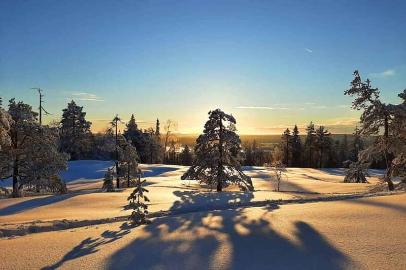 Luleå: snowshoeing in pristine nature with an expert guide! - Who Should Consider This Experience