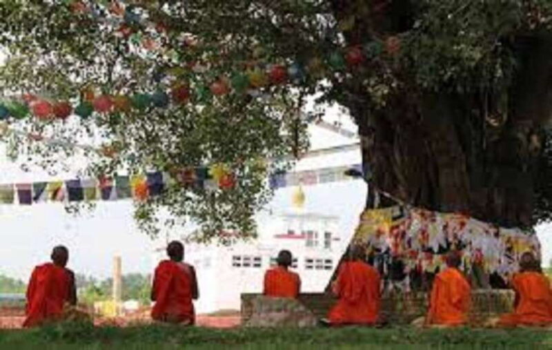Lumbini: Guided Day Tour to Buddha's Birthplace - Who Should Consider This Tour?