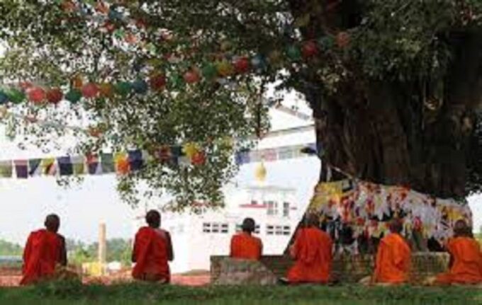 Lumbini: Guided Day Tour to Lumbini - Birthplace of Buddha - Tips for Visitors