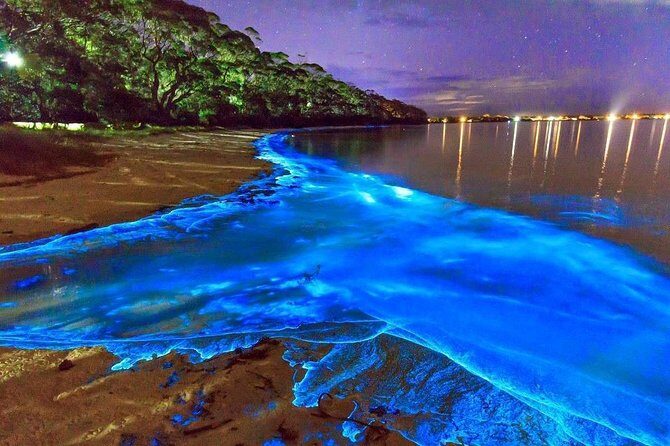 Luminous Lagoon and Rose Hall Great House Night Tour - A Unique Night in Jamaica: Rose Hall Ghosts and Glowing Waters  