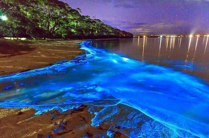 Luminous Lagoon and Rose Hall Great House Night Tour - Final Thoughts  