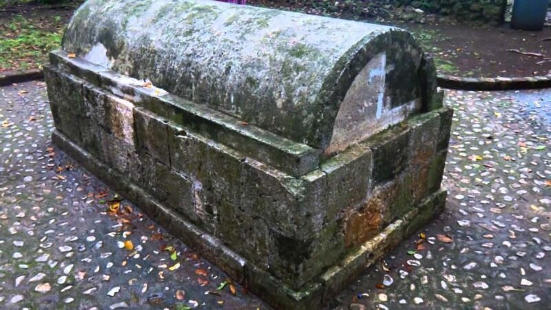 Luminous Lagoon and Rose Hall Haunted Great House Night Tour - Key Points  