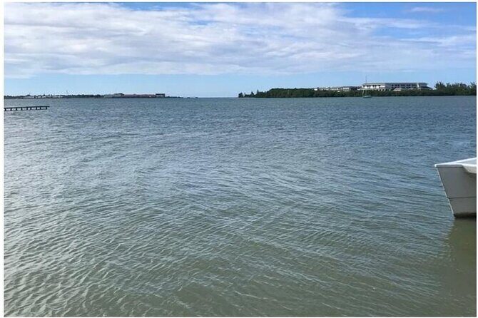 Luminous lagoon Dark night Tour from Ocho Rios and Runaway Bay Hotels - The Final Word: Who Should Consider This Tour?