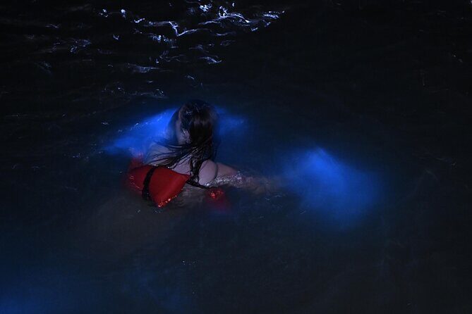 Luminous lagoon glistening waters evening tour - Who Is This Tour Best For?  