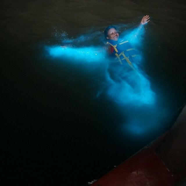 Luminous Lagoon Glistening Waters Night Tour - Key Points