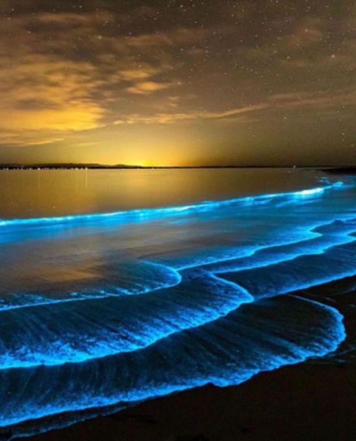 Luminous Lagoon Glistening Waters Night Tour - Guided Boat Tour Exploration