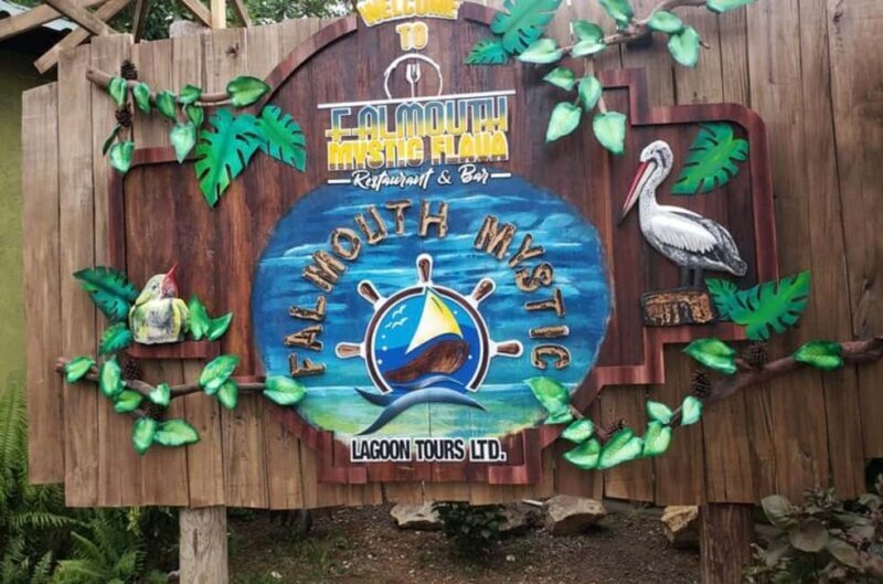 Luminous Lagoon Glistening Waters Tour - The Sum Up