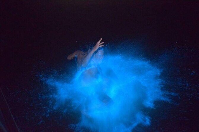 Luminous Lagoon Night Tour - Key Points