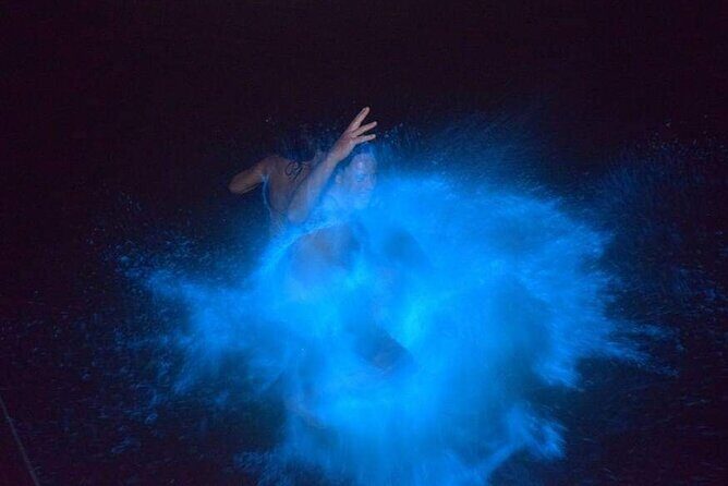 Luminous Lagoon Night Tour - The Sum Up