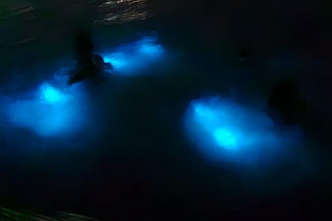 Luminous Lagoon Night Tour and Swim/Fire Dance from Montego Bay - Introduction: A Night in the Glow of Jamaica