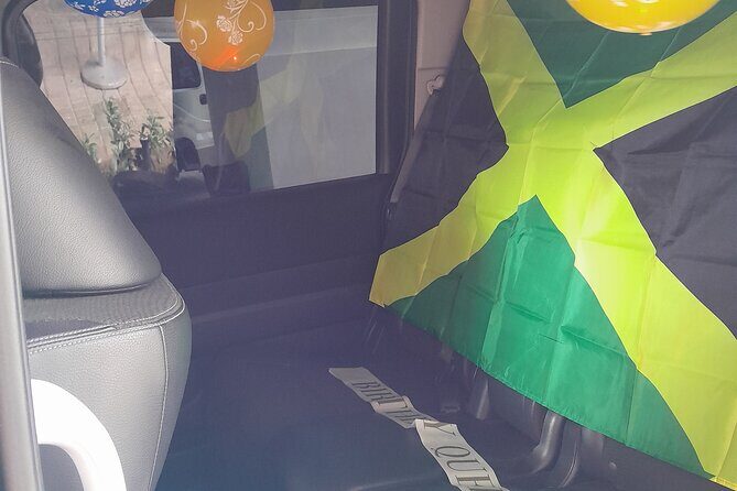 Luminous Lagoon Night Tour and Swim/Fire Dance from Montego Bay - The Experience: Pros & Cons