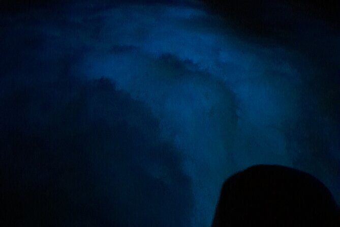 Luminous Lagoon Night Tour and Swim/Fire Dance from Montego Bay - Frequently Asked Questions