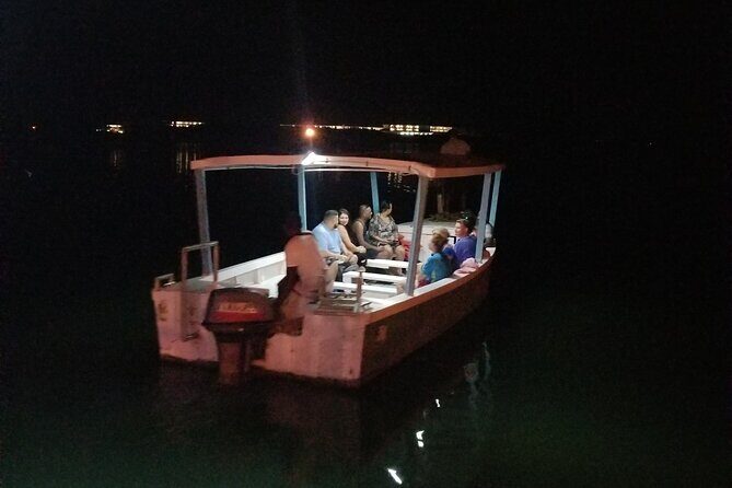 Luminous Lagoon Night Tour from Montego Bay - Authenticity and Authentic Experiences